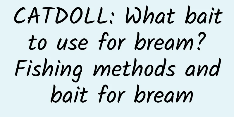 CATDOLL: What bait to use for bream? Fishing methods and bait for bream