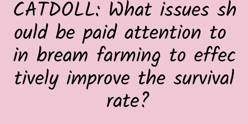 CATDOLL: What issues should be paid attention to in bream farming to effectively improve the survival rate?