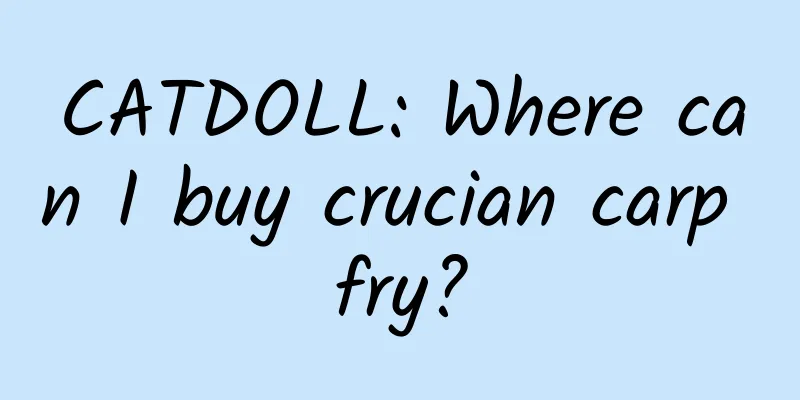CATDOLL: Where can I buy crucian carp fry?