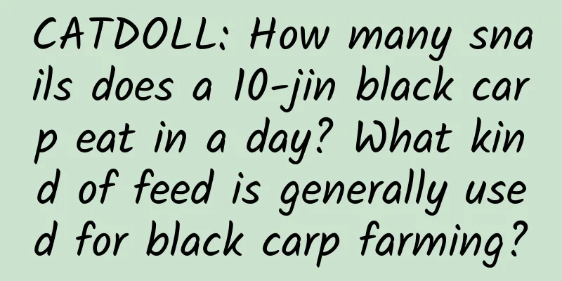 CATDOLL: How many snails does a 10-jin black carp eat in a day? What kind of feed is generally used for black carp farming?