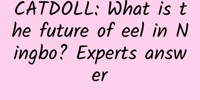 CATDOLL: What is the future of eel in Ningbo? Experts answer