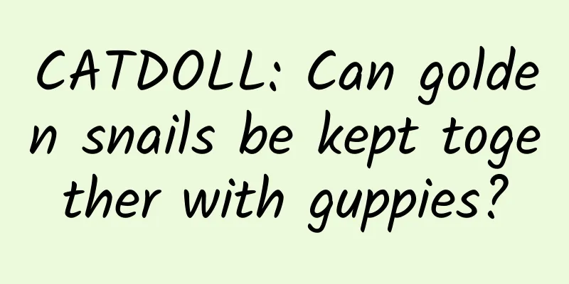 CATDOLL: Can golden snails be kept together with guppies?