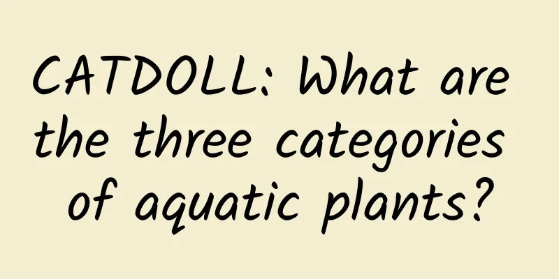 CATDOLL: What are the three categories of aquatic plants?
