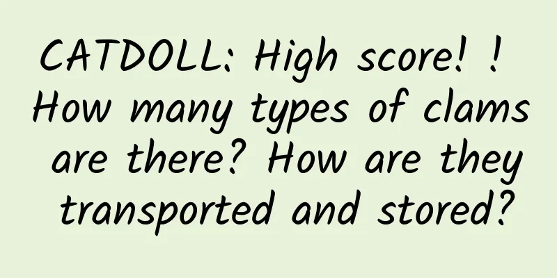 CATDOLL: High score! ! How many types of clams are there? How are they transported and stored?