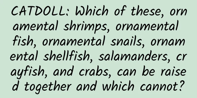 CATDOLL: Which of these, ornamental shrimps, ornamental fish, ornamental snails, ornamental shellfish, salamanders, crayfish, and crabs, can be raised together and which cannot?