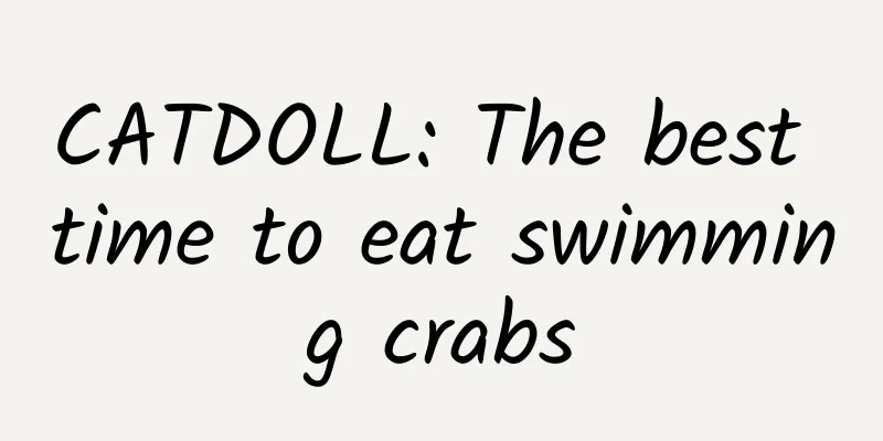 CATDOLL: The best time to eat swimming crabs