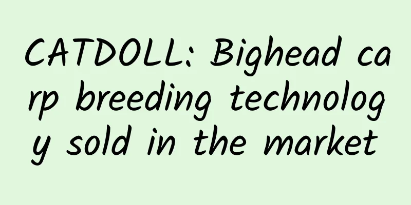 CATDOLL: Bighead carp breeding technology sold in the market