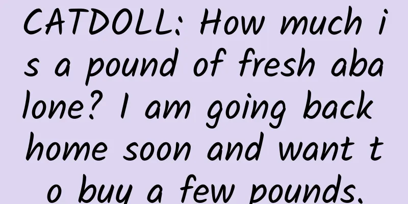 CATDOLL: How much is a pound of fresh abalone? I am going back home soon and want to buy a few pounds.