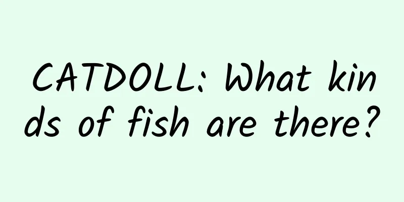 CATDOLL: What kinds of fish are there?