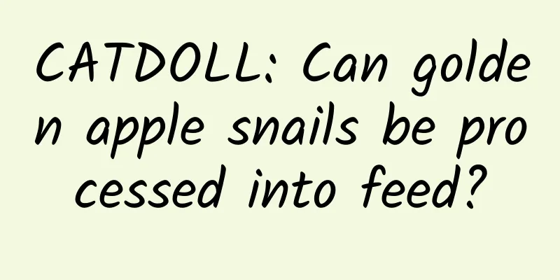 CATDOLL: Can golden apple snails be processed into feed?