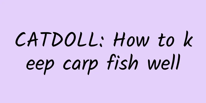 CATDOLL: How to keep carp fish well