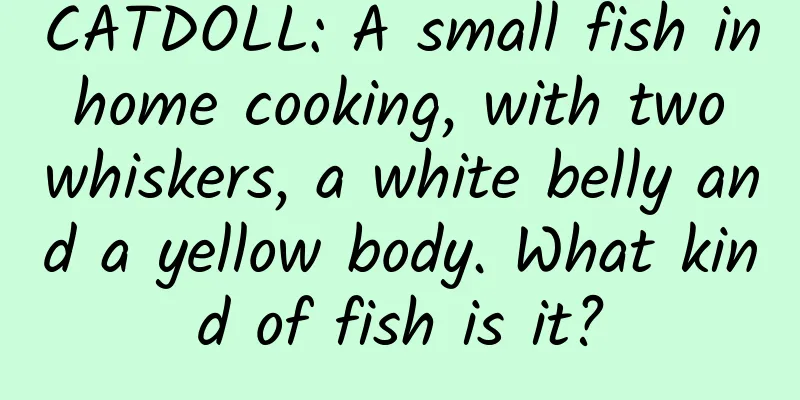 CATDOLL: A small fish in home cooking, with two whiskers, a white belly and a yellow body. What kind of fish is it?