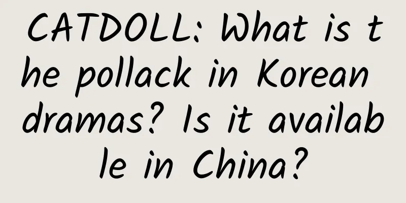 CATDOLL: What is the pollack in Korean dramas? Is it available in China?