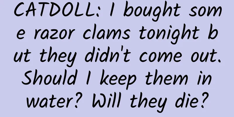 CATDOLL: I bought some razor clams tonight but they didn't come out. Should I keep them in water? Will they die?