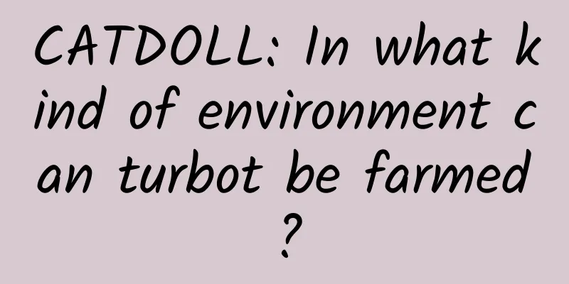 CATDOLL: In what kind of environment can turbot be farmed?
