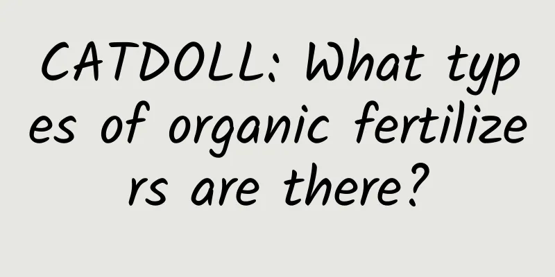 CATDOLL: What types of organic fertilizers are there?