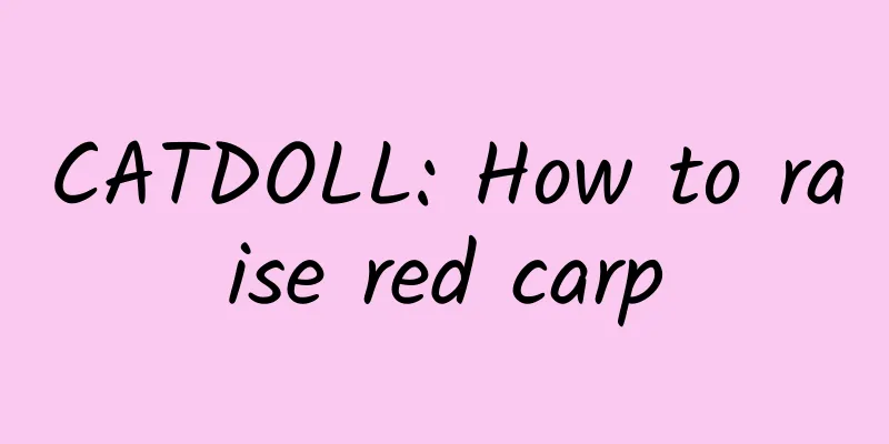 CATDOLL: How to raise red carp