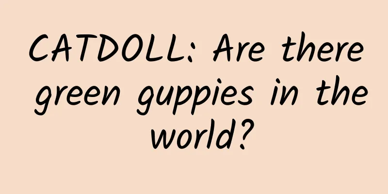 CATDOLL: Are there green guppies in the world?