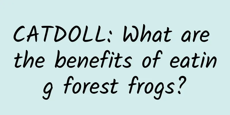 CATDOLL: What are the benefits of eating forest frogs?