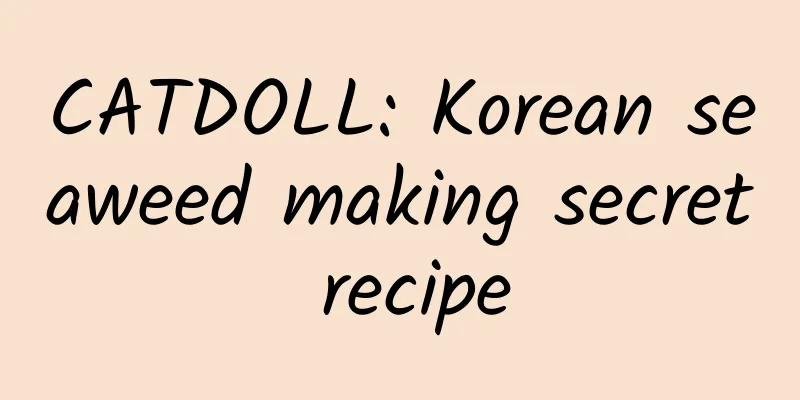 CATDOLL: Korean seaweed making secret recipe