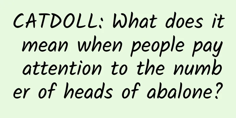 CATDOLL: What does it mean when people pay attention to the number of heads of abalone?