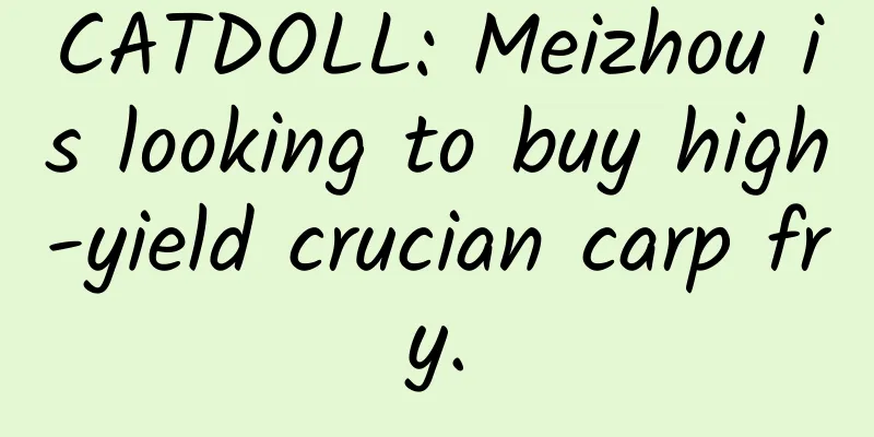 CATDOLL: Meizhou is looking to buy high-yield crucian carp fry.