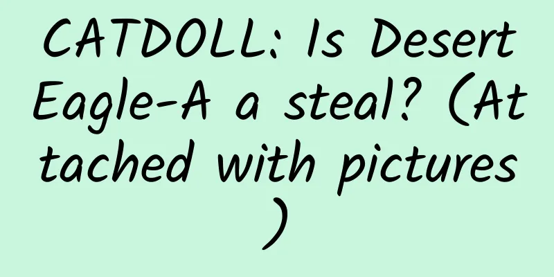 CATDOLL: Is DesertEagle-A a steal? (Attached with pictures)