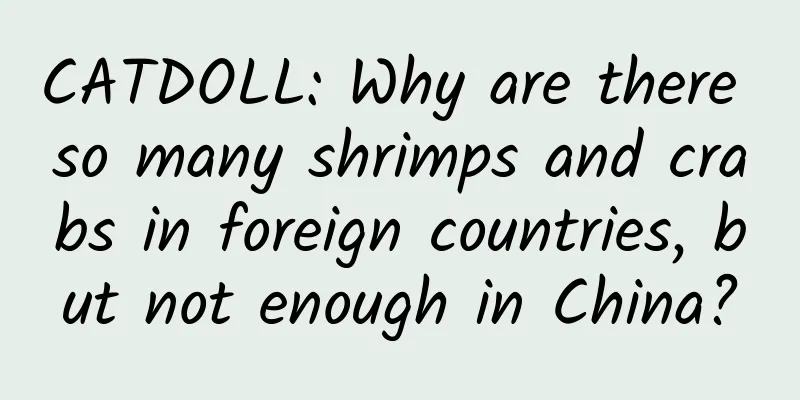CATDOLL: Why are there so many shrimps and crabs in foreign countries, but not enough in China?