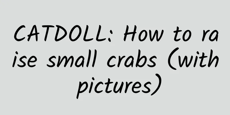 CATDOLL: How to raise small crabs (with pictures)