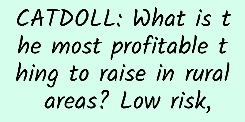 CATDOLL: What is the most profitable thing to raise in rural areas? Low risk,