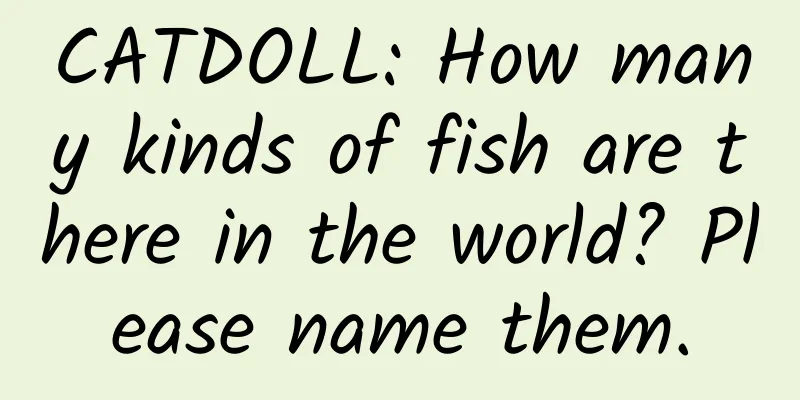 CATDOLL: How many kinds of fish are there in the world? Please name them.