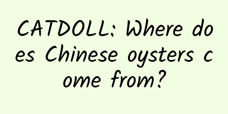 CATDOLL: Where does Chinese oysters come from?