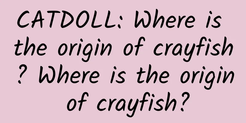 CATDOLL: Where is the origin of crayfish? Where is the origin of crayfish?