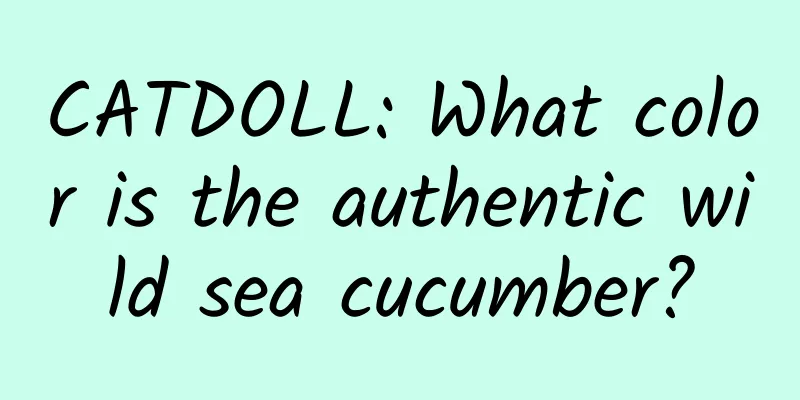 CATDOLL: What color is the authentic wild sea cucumber?