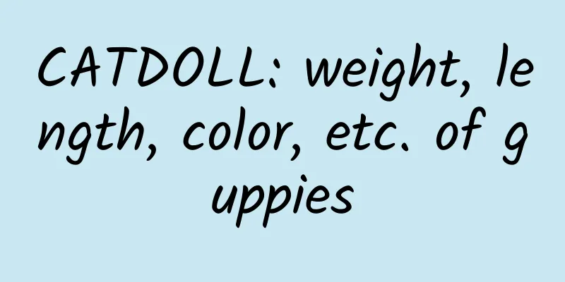 CATDOLL: weight, length, color, etc. of guppies
