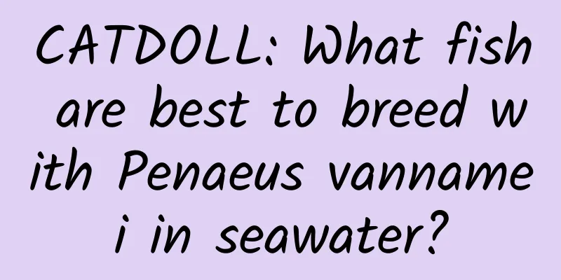 CATDOLL: What fish are best to breed with Penaeus vannamei in seawater?