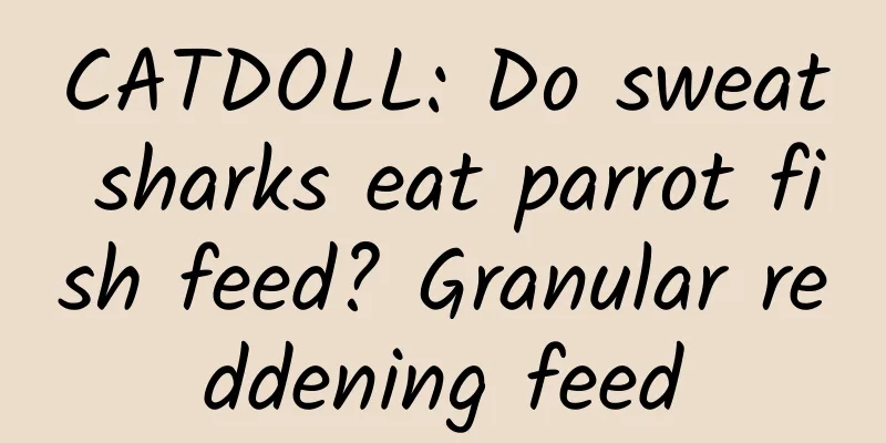 CATDOLL: Do sweat sharks eat parrot fish feed? Granular reddening feed