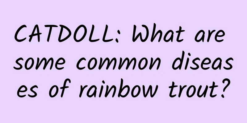 CATDOLL: What are some common diseases of rainbow trout?