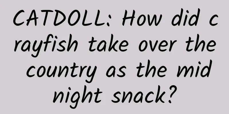 CATDOLL: How did crayfish take over the country as the midnight snack?