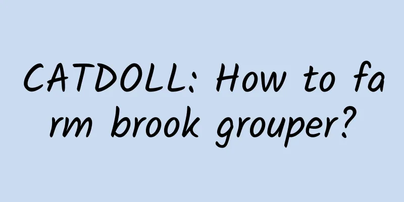 CATDOLL: How to farm brook grouper?