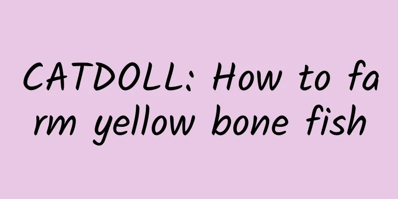 CATDOLL: How to farm yellow bone fish
