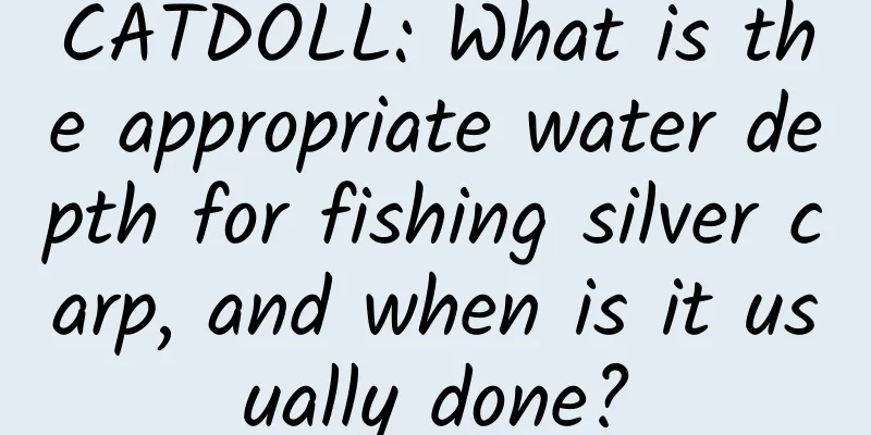 CATDOLL: What is the appropriate water depth for fishing silver carp, and when is it usually done?