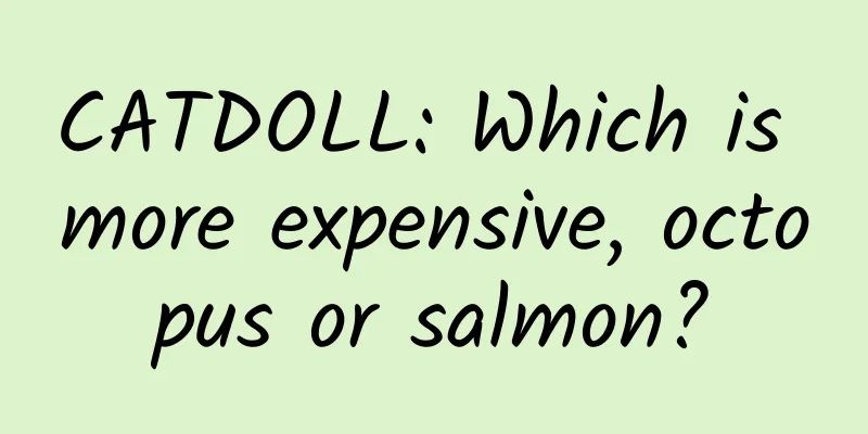 CATDOLL: Which is more expensive, octopus or salmon?