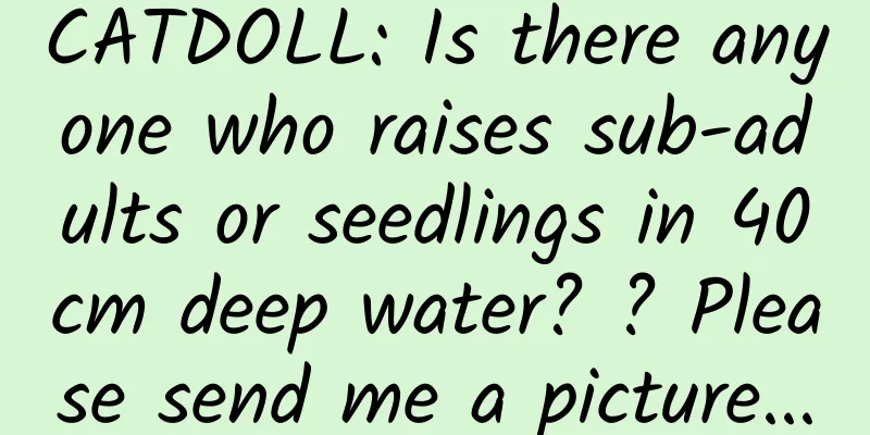 CATDOLL: Is there anyone who raises sub-adults or seedlings in 40cm deep water? ? Please send me a picture...