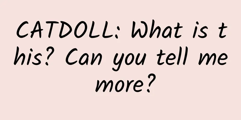 CATDOLL: What is this? Can you tell me more?