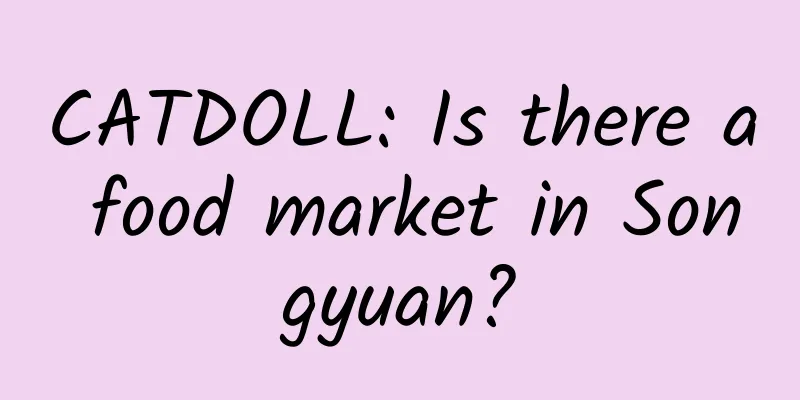 CATDOLL: Is there a food market in Songyuan?