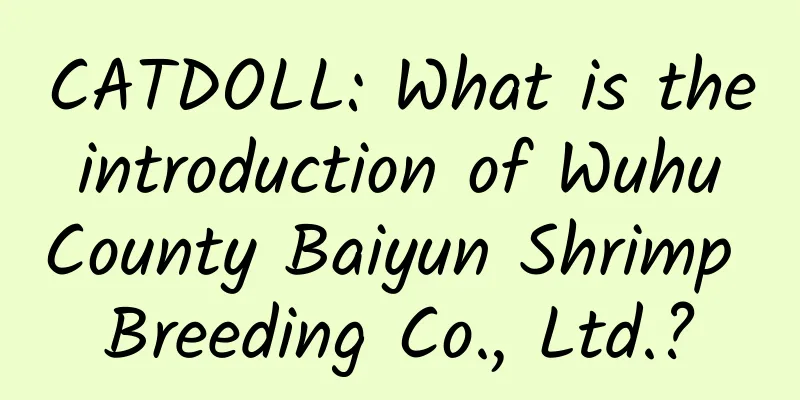 CATDOLL: What is the introduction of Wuhu County Baiyun Shrimp Breeding Co., Ltd.?