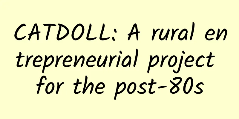 CATDOLL: A rural entrepreneurial project for the post-80s