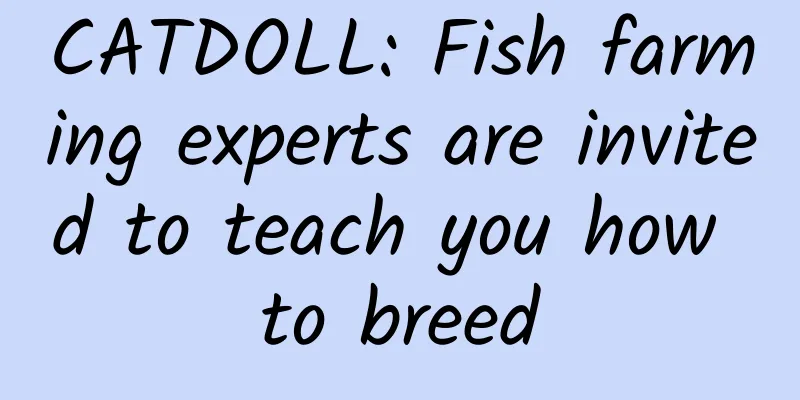 CATDOLL: Fish farming experts are invited to teach you how to breed