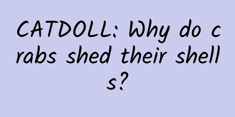 CATDOLL: Why do crabs shed their shells?
